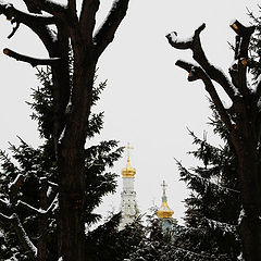 фото "Рождество в Сергиевом Посаде (2)."