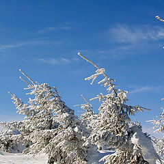 photo "It was windy day"