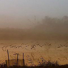 фото "A Second Before Sunrise"