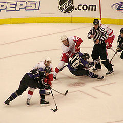photo "Kings vs Red Wings"
