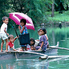 photo "Banca School Bus"