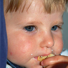 photo "Hungry?"