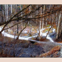 photo "Winter footpaths"