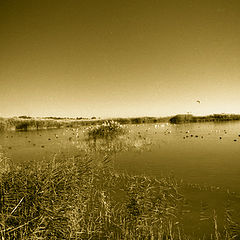 photo "Lake"