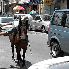 photo "Vaulting horse exercise"