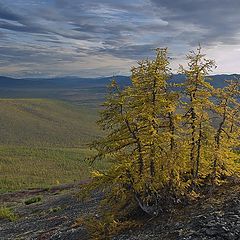 фото "Маленькое сообщество по выживанию"