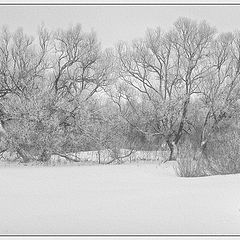 фото "Белая палитра"