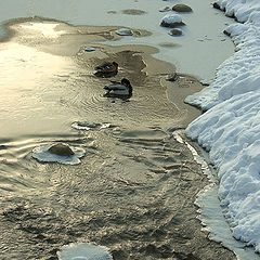 photo "The Moscow small river"