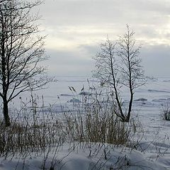 фотоальбом "Nature"