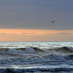 photo "The Atlantic Ocean"