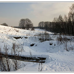 photo "Winter (3)"