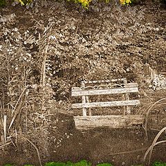 photo "Old garden"