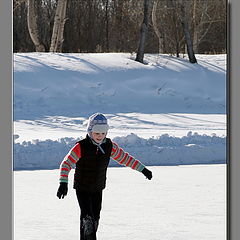 photo "The first steps on the ice ..."