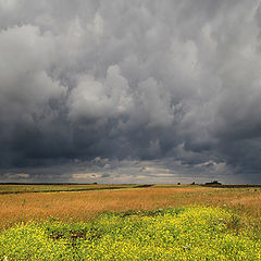 фото "Перед грозой"