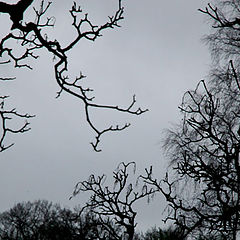 фото "Haunted Scotland"