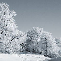 photo "***"