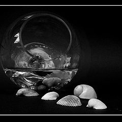 photo "aquarium"