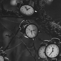 photo "Time grows"