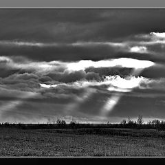 photo "Beams"