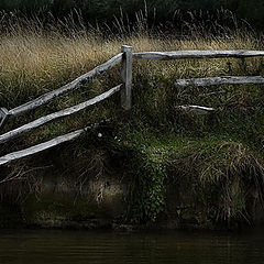 photo "The broken fence"