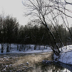 фото "Ботанический сад, зима2005"