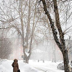 photo "The snowstorm and the woman"