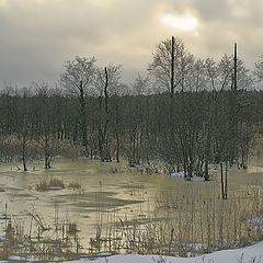 фото "Зимнее глинистое болото"