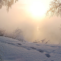 фото "Прогулка."