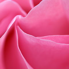фото "Softice"