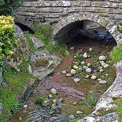 фото "A little stream"