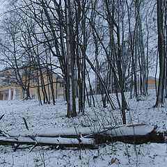 фото "Сумерки...Сыпет мелкий снежок..."