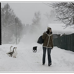 photo "Winter (7) - visit Grandma..."