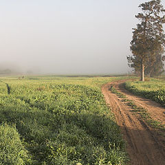 photo "Mists flying before the morning sun"