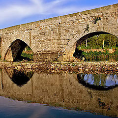 фото "perspectiva(s)"