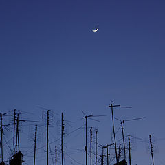 photo "Tuning the Moon"
