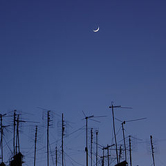 фото "Tuning the Moon"