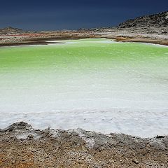 photo "Small saline soil"