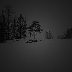 фото "Безмолвие"