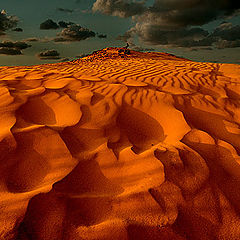 фото "Dunes"