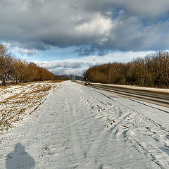 фото "Домой"