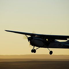 фото "The flight in last rays of the sunset"