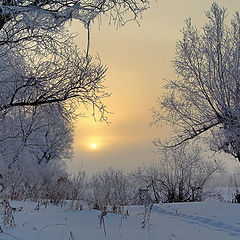 photo "Welcome. February!"