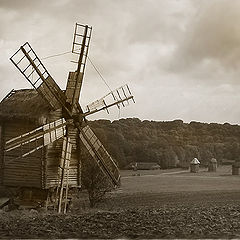 photo "old and alone..."