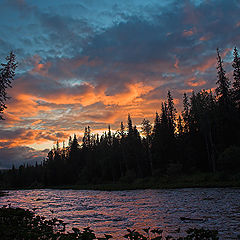 photo "Sunset in taiga"