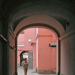 фото "Розовые арки"