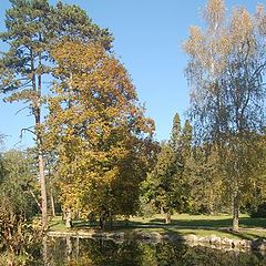photo "fall in Askania"