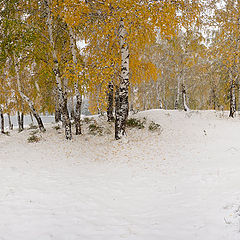 photo "Ural  / 0165_0010-0016"