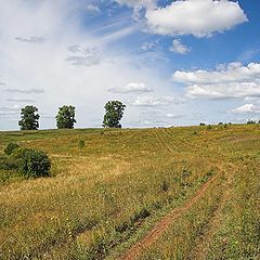 фото "Солнечный денёк"