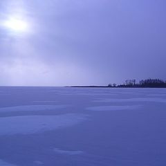 фото "Свет и снег"