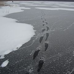 фото "Осторожно гололед"